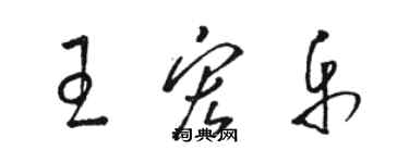 駱恆光王宏樂草書個性簽名怎么寫