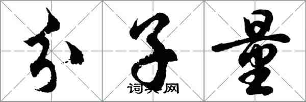 胡問遂分子量行書怎么寫