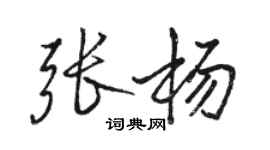 駱恆光張楊行書個性簽名怎么寫