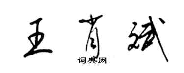 梁錦英王肖斌草書個性簽名怎么寫