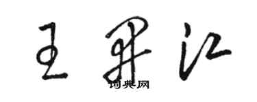 駱恆光王開江草書個性簽名怎么寫