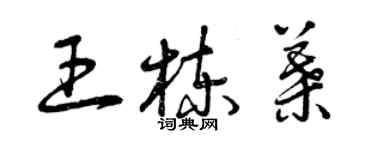 曾慶福王棟葉草書個性簽名怎么寫