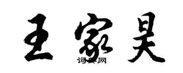 胡問遂王家昊行書個性簽名怎么寫