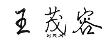 駱恆光王茂容行書個性簽名怎么寫