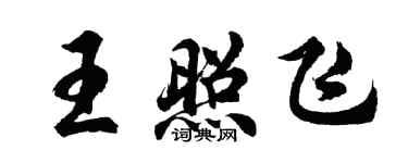胡問遂王照飛行書個性簽名怎么寫