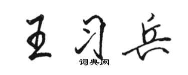 駱恆光王習兵行書個性簽名怎么寫