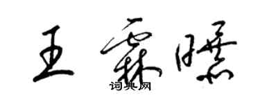 梁錦英王霖曝草書個性簽名怎么寫