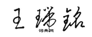 駱恆光王瑞銘草書個性簽名怎么寫