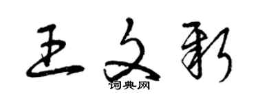 曾慶福王文新草書個性簽名怎么寫