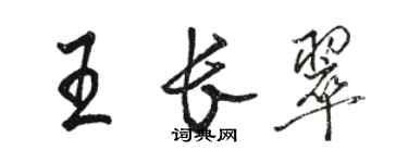 駱恆光王長翠行書個性簽名怎么寫
