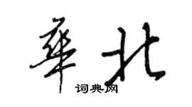 王正良華北行書個性簽名怎么寫