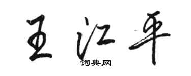 駱恆光王江平行書個性簽名怎么寫