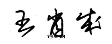 朱錫榮王肖成草書個性簽名怎么寫