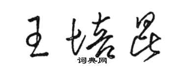 駱恆光王培昆草書個性簽名怎么寫