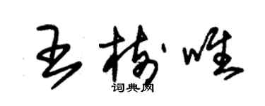 朱錫榮王樹唯草書個性簽名怎么寫