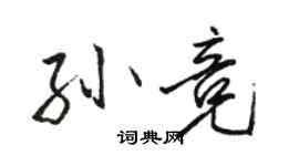 駱恆光孫競行書個性簽名怎么寫