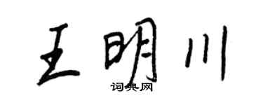 王正良王明川行書個性簽名怎么寫