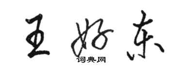 駱恆光王好東行書個性簽名怎么寫