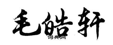 胡問遂毛皓軒行書個性簽名怎么寫