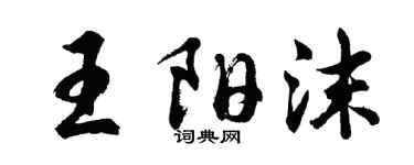 胡問遂王陽沫行書個性簽名怎么寫
