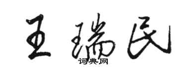 駱恆光王瑞民行書個性簽名怎么寫