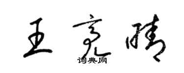 梁錦英王亮晴草書個性簽名怎么寫