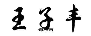 胡問遂王子豐行書個性簽名怎么寫