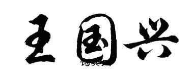 胡問遂王國興行書個性簽名怎么寫