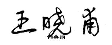 曾慶福王曉甫草書個性簽名怎么寫