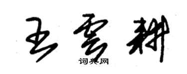 朱錫榮王雲耕草書個性簽名怎么寫