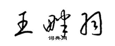 梁錦英王畔羽草書個性簽名怎么寫