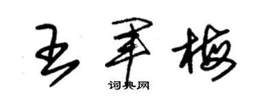 朱錫榮王軍梅草書個性簽名怎么寫