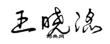曾慶福王曉滔草書個性簽名怎么寫
