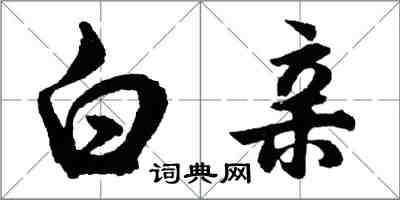 胡問遂白親行書怎么寫