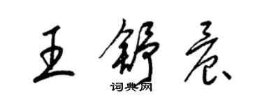 梁錦英王舒晨草書個性簽名怎么寫