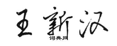 駱恆光王新漢行書個性簽名怎么寫