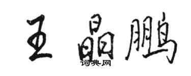 駱恆光王晶鵬行書個性簽名怎么寫