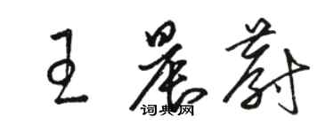 駱恆光王晨蔚草書個性簽名怎么寫