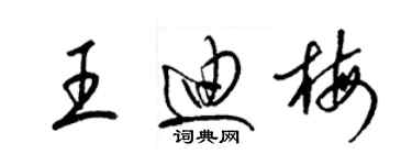 梁錦英王迪梅草書個性簽名怎么寫