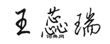 駱恆光王蕊瑞行書個性簽名怎么寫