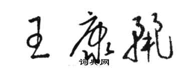 駱恆光王康麗草書個性簽名怎么寫