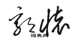 駱恆光郭懷草書個性簽名怎么寫