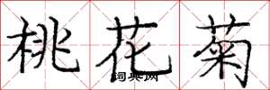 龐中華桃花菊楷書怎么寫