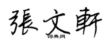 王正良張文軒行書個性簽名怎么寫