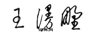 駱恆光王漫野草書個性簽名怎么寫