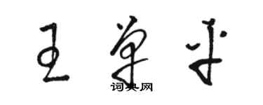 駱恆光王單平草書個性簽名怎么寫