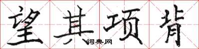 駱恆光望其項背楷書怎么寫