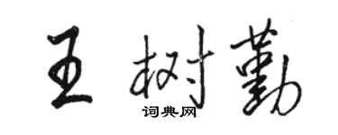 駱恆光王樹勤行書個性簽名怎么寫