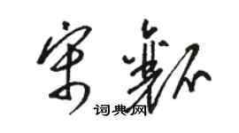 駱恆光宋瓤草書個性簽名怎么寫