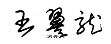 朱錫榮王翼龍草書個性簽名怎么寫